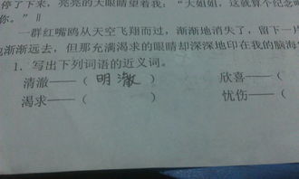 明洁的近义词???