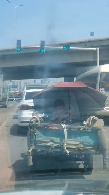 “颠簸”的读音是什么?