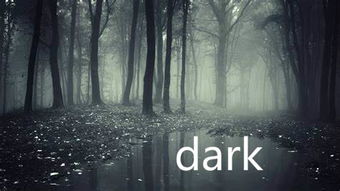 dark怎么读英语单词怎么写，path怎么读