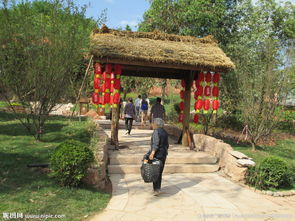 五凤是哪五凤，五凤山