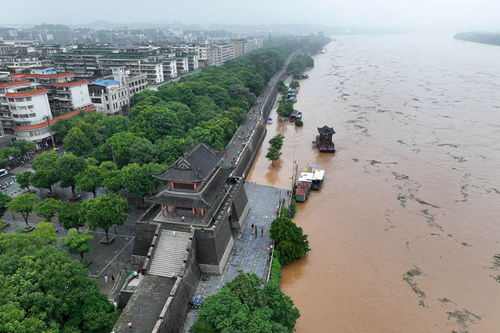 江西省赣州市赣县天气预报15天查询，江西省赣州市赣县天气情况