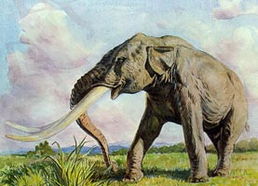 剑齿象是怎样灭绝的?急啊~~