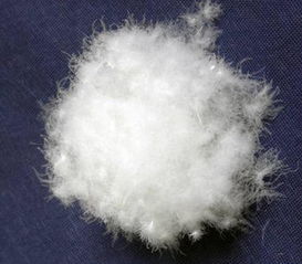 鹅绒锁小说全文免费阅读笔趣阁，鹅绒藤