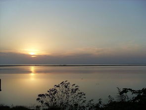 刘禹锡望洞庭湖全诗