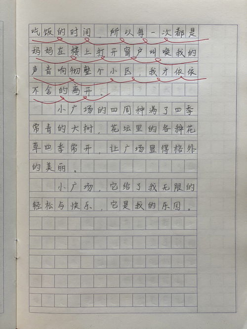 我的乐园500字作文