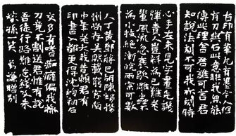 霓龙节度,钜鹿经生什么意思?