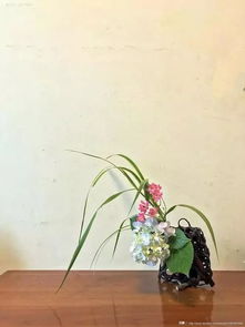 意犹未尽是什么意思