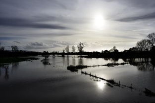 笃定的意思是什么?