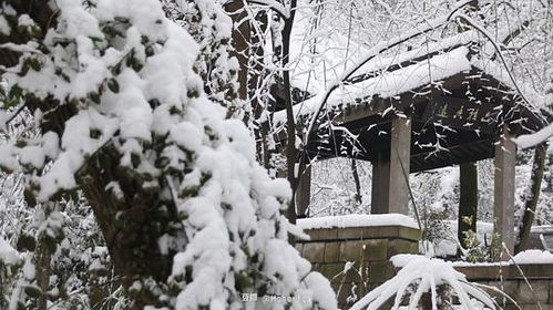 honorificabilitudinitatibus翻译，honorificabilitudinitatibussey翻译