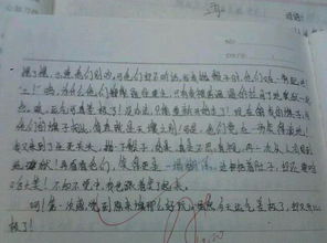 新年趣事作文300字左右，新年趣事作文350字