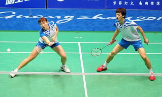 李孝贞羽毛球，李孝贞实力