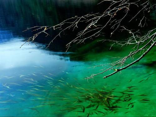 小石潭记古今异义一词多义