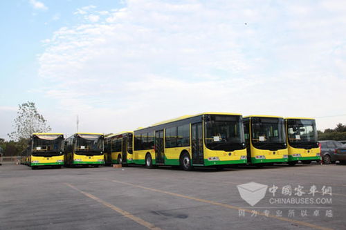 莆田闽运与莆田公交区别