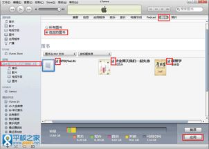 ipad书籍格式，ipad看书格式
