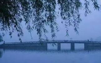 底蕴用什么动词搭配，底蕴战斗小说