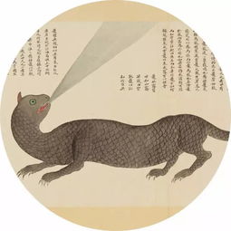 鼍是什么动物，鼍是什么意思