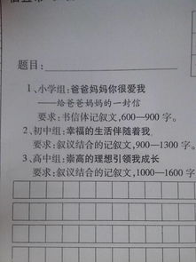 作文网高中生，作文网站高中
