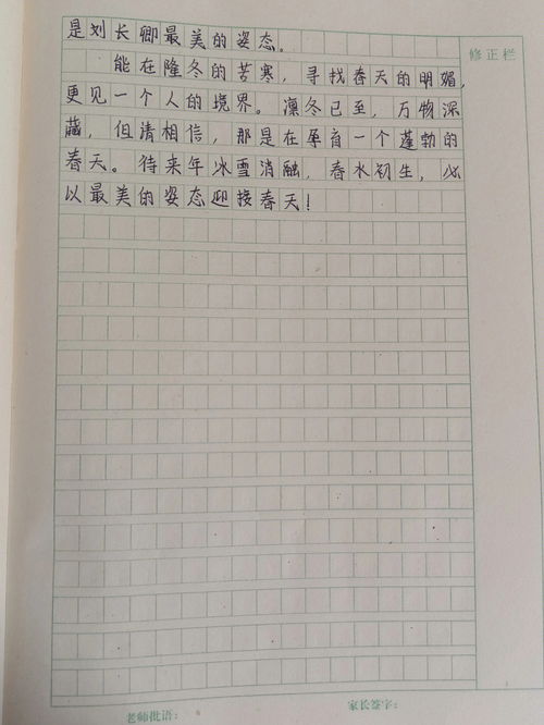 语文作文600字记叙文，我与语文作文600字