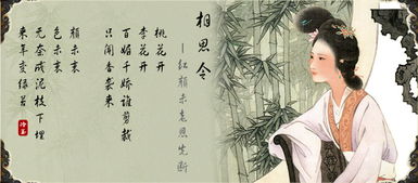 诗词歌赋的意思