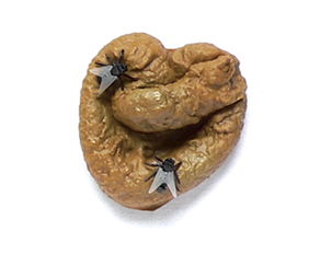 梦到大便是什么意思 梦见大便周公解梦是什么预兆