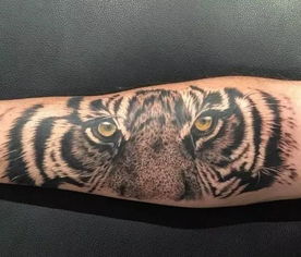 虎眼万年青的功效和使用方法，虎眼万年青