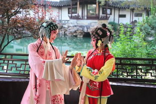 君到姑苏见,人家尽枕河是什么意思