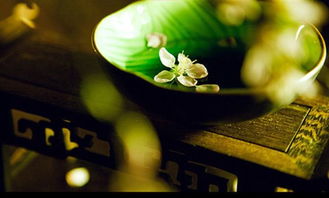 “见微知著”里“著”是什么意思?