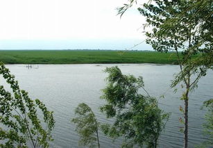 千里堤坝溃于蚁巢，千里堤市场在哪里