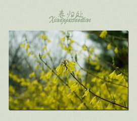 迟来的春天歌词