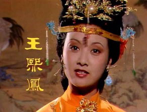 王熙凤的简介