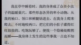 精选关于《一个人的村庄》读后感范文四篇