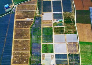 南宁属于哪个地区