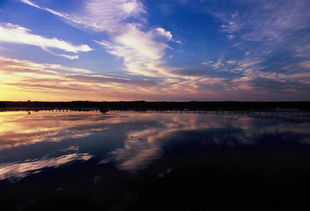 南桔北枳的原因,温度因素吗，南橘北枳文言文翻译及原文