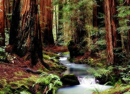 北京到西沟原始森林开车怎么走