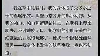 与虫共眠读后感悟，与虫共眠读后感悟20字