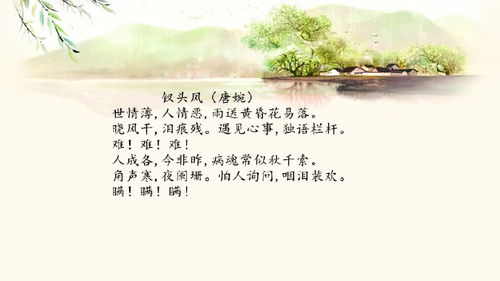 “天南地北双飞客,老翅几回寒暑。”出自哪里?