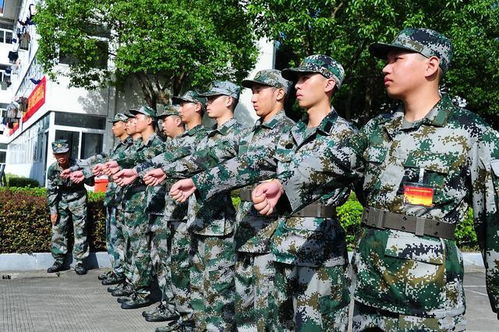 当兵考军校的录取几率