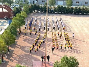 新余双林镇发展中存在的问题