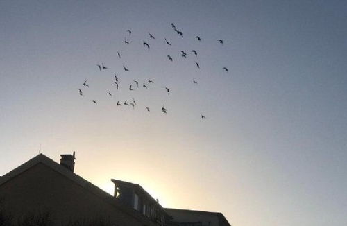 充实的一天心情短语心灵，累并充实的一天心情短语