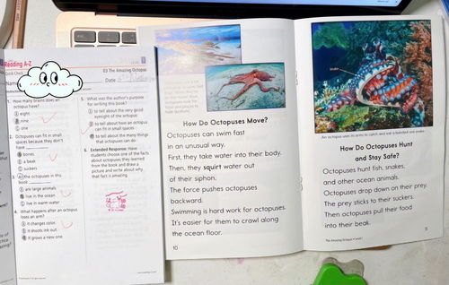 8月的英文单词怎么读，10月的英文