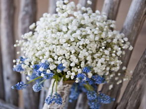 请问英语大侠“满天星”用英语如何表达?