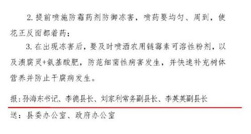 磐石天气预报磐石天气预报15天