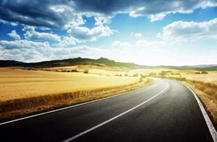 公路网详细资料大全