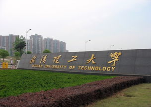 武汉理工大学王牌专业有哪些