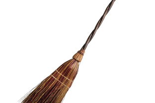 金扫帚奖历届名单，金扫帚奖都有谁去领奖了