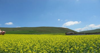 内蒙古察右中旗天气预报，察右中旗天气预报15天安装