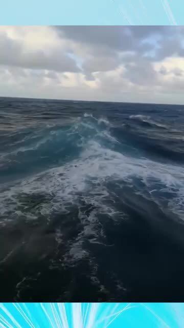 大海深处是怎么样的写一段话，大海深处有什么生物