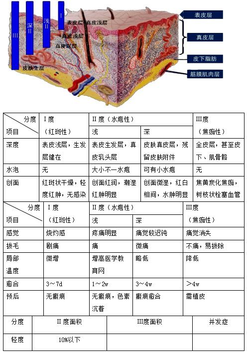 烧伤面积九分法口诀儿童，烧伤面积九分法口诀技巧