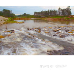 写家乡的小河作文