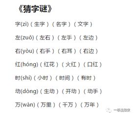 盒字组词三年级，领字组词